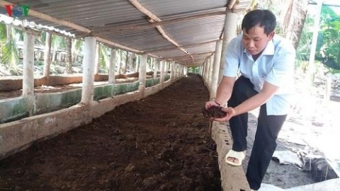 thanh nien khoi nghiep lam giau tu nuoi trun que