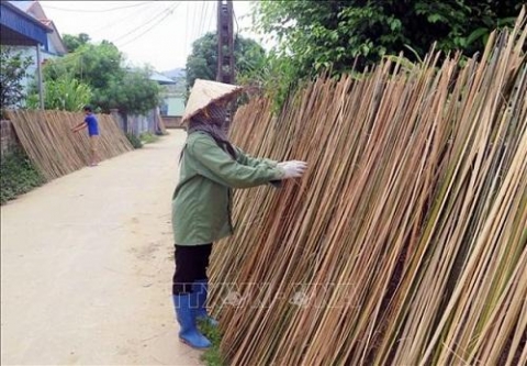 nghe det manh co o dong thinh thai nguyen