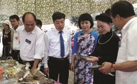 tuyen quang san pham tao suc bat cho na hang