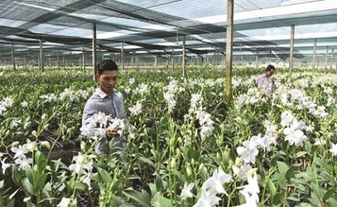 tp ho chi minh phan dau hoan thanh 100 xa nong thon moi