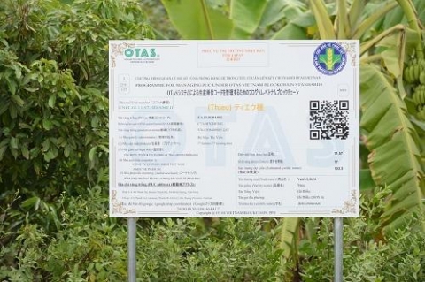 hai duong vai thieu thanh ha day manh tieu thu tai nhieu thi truong