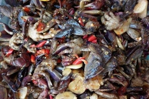 nghe muoi ba khia tai ca mau duoc cong nhan la di san van hoa phi vat the cap quoc gia