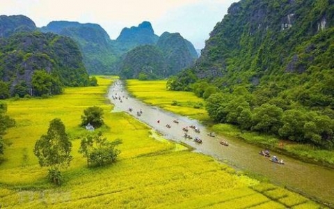 cuoc thi sang tac logo bo nhan dien festival nhiep anh quoc te viet nam