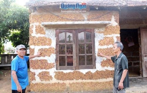 quang ngai nho nghe da ong o phu quy