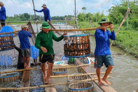 tinh yeu ca hoa tram trieu moi thang