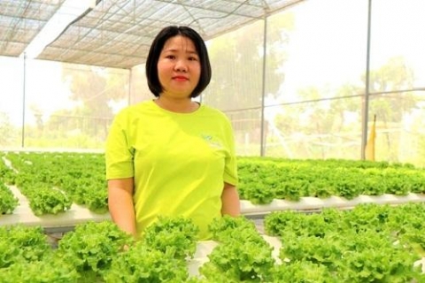 quang nam 9x gac bang dai hoc quyet lam giau voi nong nghiep cong nghe cao