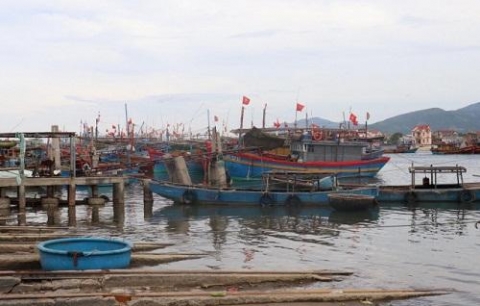 ngu dan quang binh lao dao vi ca dac san xuat khau un u phai ban gia beo