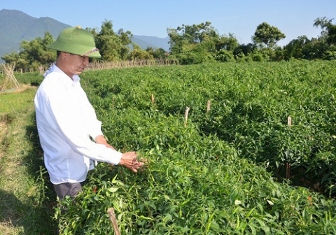 tuyen quang ninh lai tien toi dat chuan xa nong thon moi nang cao