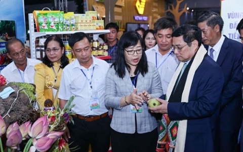 thu tuong khai mac festival trai cay va san pham ocop viet nam nam 2022