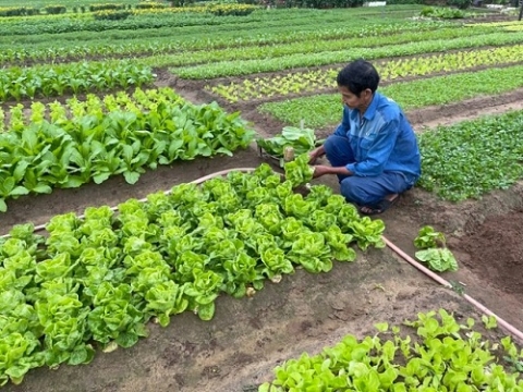 da nang phat trien nong nghiep sinh thai nong thon hien dai nong dan van minh