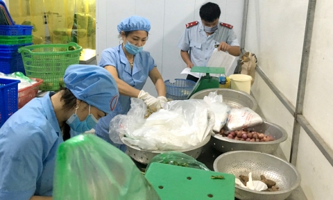 ha noi quan ly an toan thuc pham tu goc