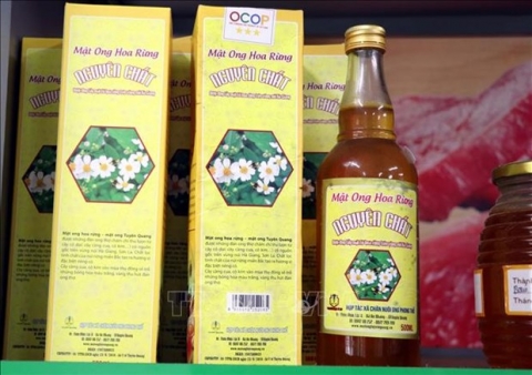 hinh thanh vung nguyen lieu tap trung chu trong xay dung thuong hieu