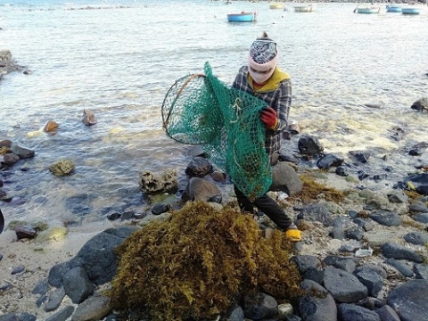 quang ngai khai thac ben vung giu gin nguon loi rong mo