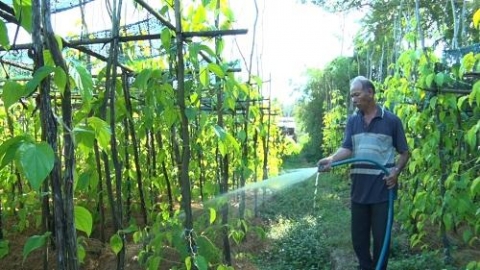 lang trau vi thuy hau giang gin giu net van hoa truyen thong