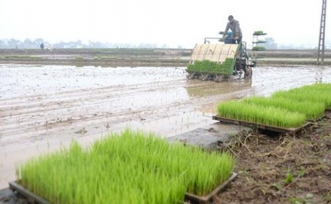 don dien doi thua don bay cho phat trien nong nghiep