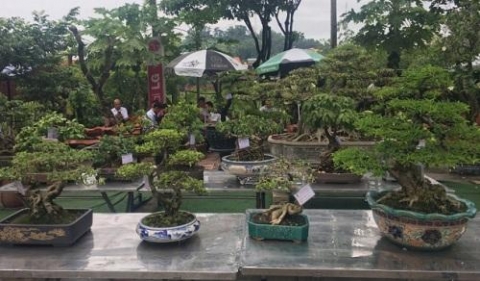 sap dien ra hoi cho du lich lang nghe truyen thong va sinh vat canh huyen thanh oai nam 2020