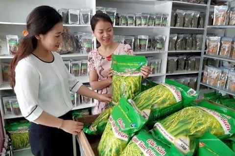 dien bien quang ninh hop tac tieu thu san pham ocop