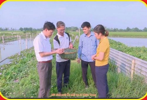 huyen thieu hoa thanh hoa hieu qua san xuat nong nghiep gan voi xay dung nong thon moi