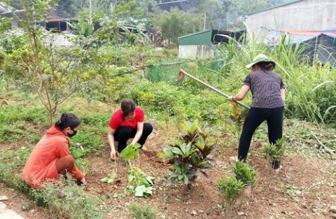 tuyen quang mttq huyen chiem hoa tham gia xay dung ntm do thi van minh bang viec lam cu the