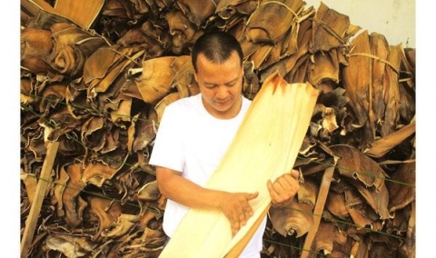 quang ngai san pham than thien moi truong tu mo cau