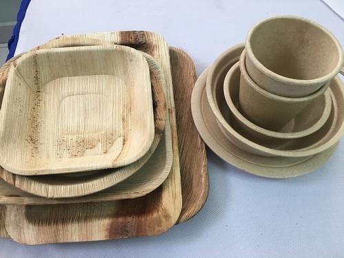 Hộp Đựng Thức Ăn Bằng Mo Cau