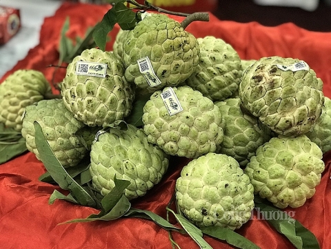 xuc tien thuong mai na chi lang va san pham ocop tinh lang son nam 2021