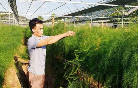 xa dinh lap lang son thuc hien chi thi 05 gan voi xay dung nong thon moi