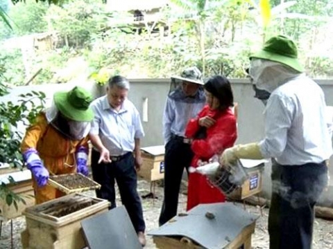 huyen quan hoa thanh hoa nghe nuoi ong lay mat giup nguoi dan thoat ngheo