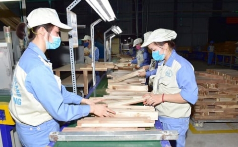 tuyen quang tang truong gia tri san xuat cong nghiep trong boi canh dich benh