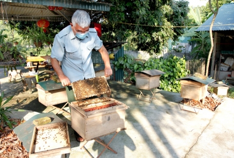 vinh phuc som xay dung thuong hieu mat ong quang son