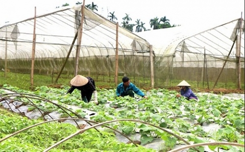 thu nhap binh quan khu vuc nong thon dat hon 54 trieu dongnguoinam