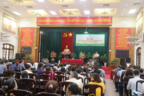 giai phap bao ton va phat trien lang nghe truyen thong tren dia ban tp ha noi