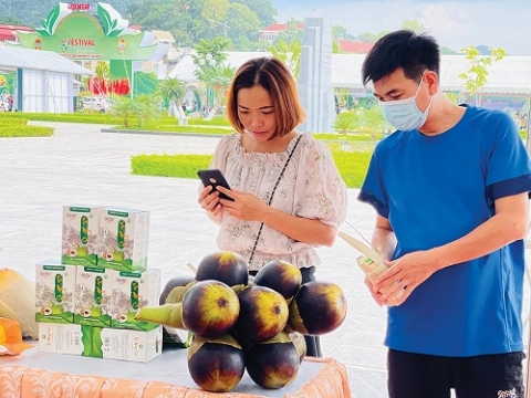 an giang phat trien cac san pham ocop