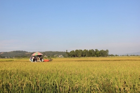 can loc ha tinh tich cuc tap trung tich tu dien tich dat nong nghiep