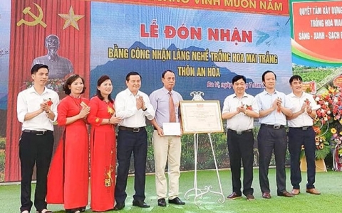 ba vi ha noi co lang nghe trong hoa mai trang