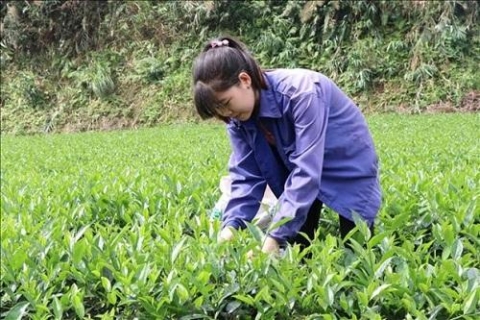 thai nguyen xay dung nong thon moi gan voi chuong trinh moi xa mot san pham