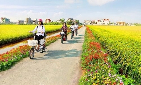 lap hoi dong tham dinh bao cao de xuat chu truong dau tu xay dung nong thon moi