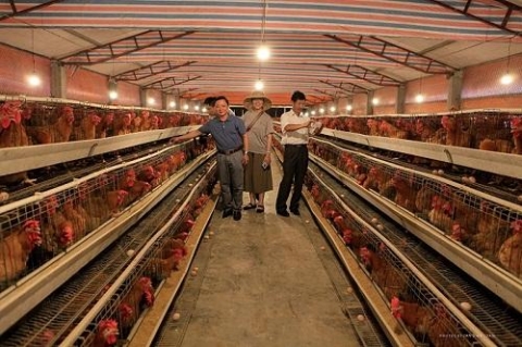 quang ninh nang cao chat luong san pham ocop