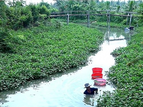 an giang doc dao nghe dai trun chi