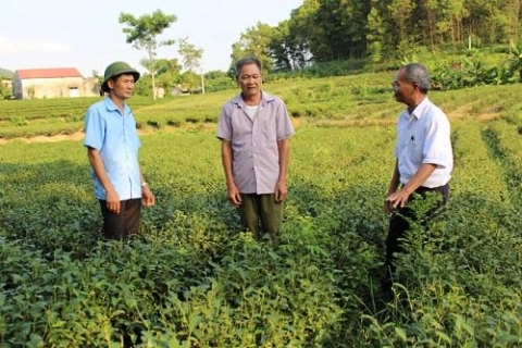thai nguyen xa phu do giam ngheo nho nguon von chinh sach