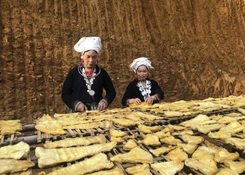 mang kho tri phu tuyen quang