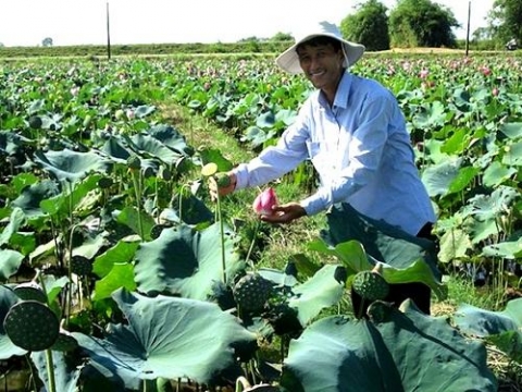 quang tri dao tao nghe cam tay chi viec dat hieu qua