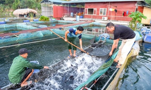 tuyen quang tiem nang phat trien them nhieu san pham ocop