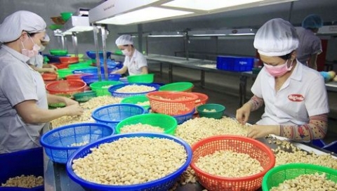 nong san viet nam nam bat co hoi trong thach thuc