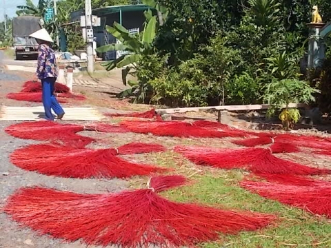 hoi sinh lang chieu dinh yen