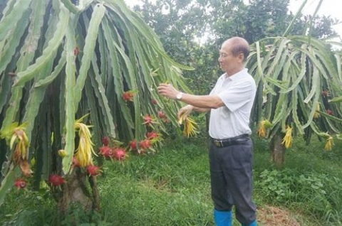 thai nguyen hieu qua tu phong trao thi dua yeu nuoc o dong hy