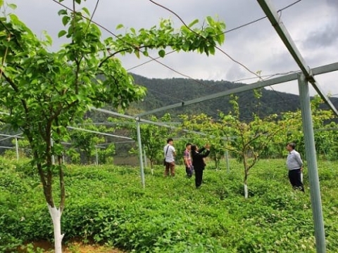 cao bang phat trien nong nghiep thong minh huong den nen nong nghiep ben vung