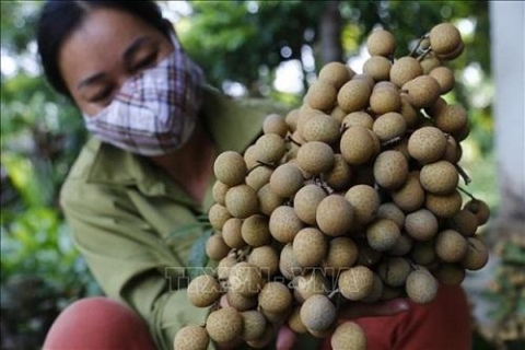 nhan binh ca giup xa thai binh di dau trong xay dung nong thon moi