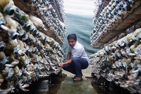 thanh hoa nga re nghe nghiep bat ngo va thanh cong tu loi hua voi nguoi cha qua co
