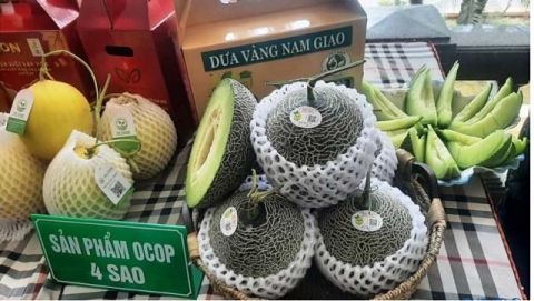 thanh hoa xay dung san pham ocop theo huong thuc chat chu trong chat luong